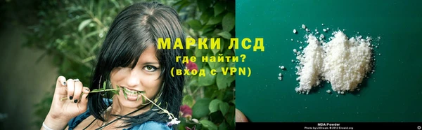 ГАЛЛЮЦИНОГЕННЫЕ ГРИБЫ Кукмор