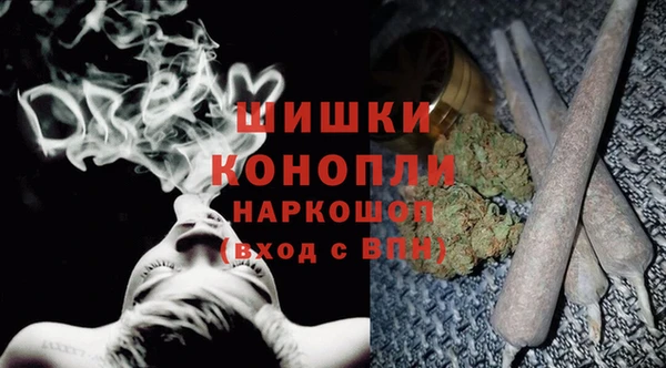ГАЛЛЮЦИНОГЕННЫЕ ГРИБЫ Кукмор
